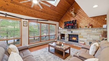 TV, fireplace, books, stereo