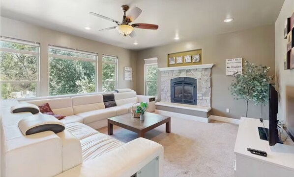 Televisión, chimenea y libros 