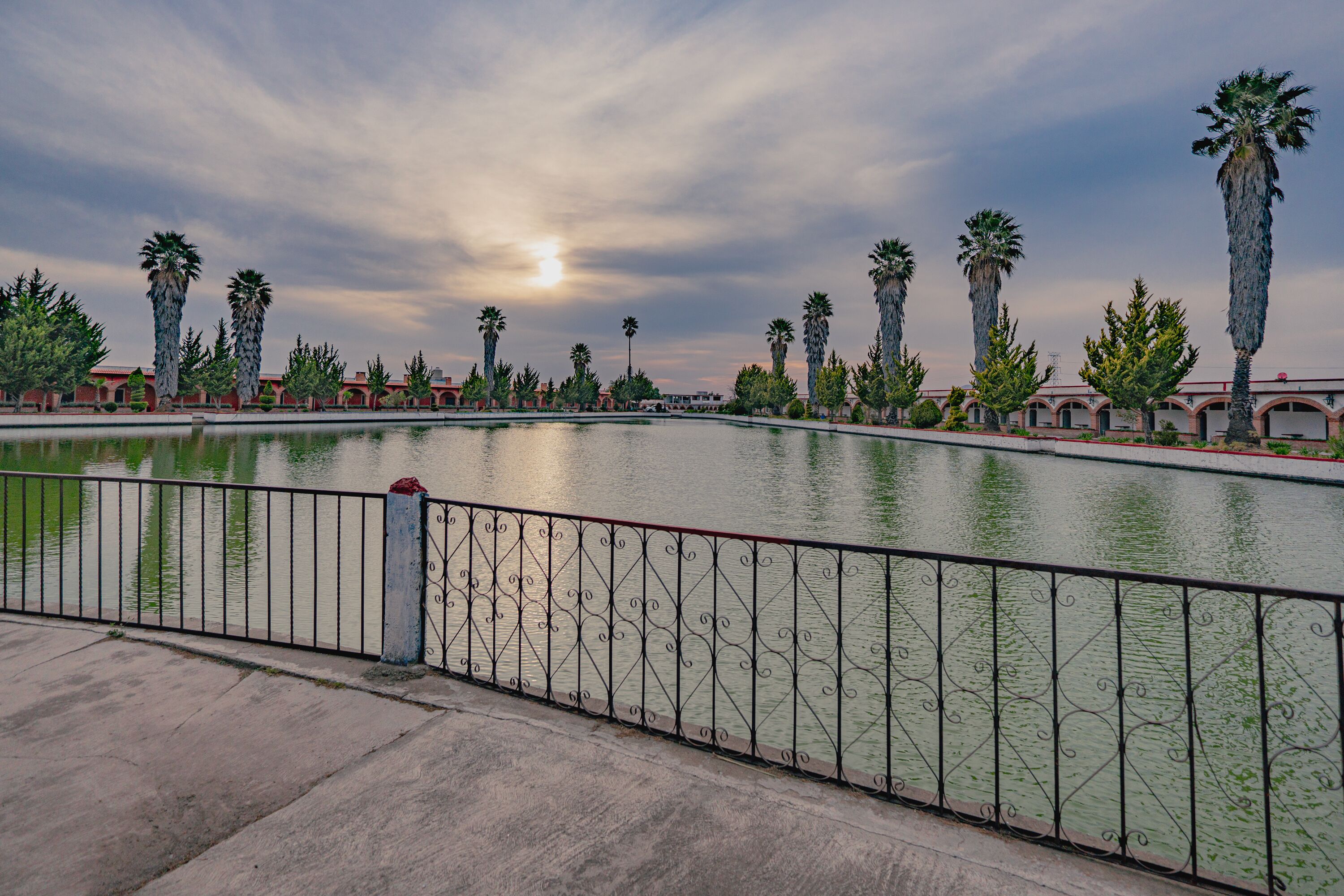 A waterfront promenade with a metal railing, palm trees, and buildings in the background.