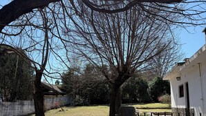 A fenced yard with a tree, a white building, and a stone wall. - Perfect 3-bedroom house in Santa Rosa de Calamuchita (Santa Rosa de Calamuchita)