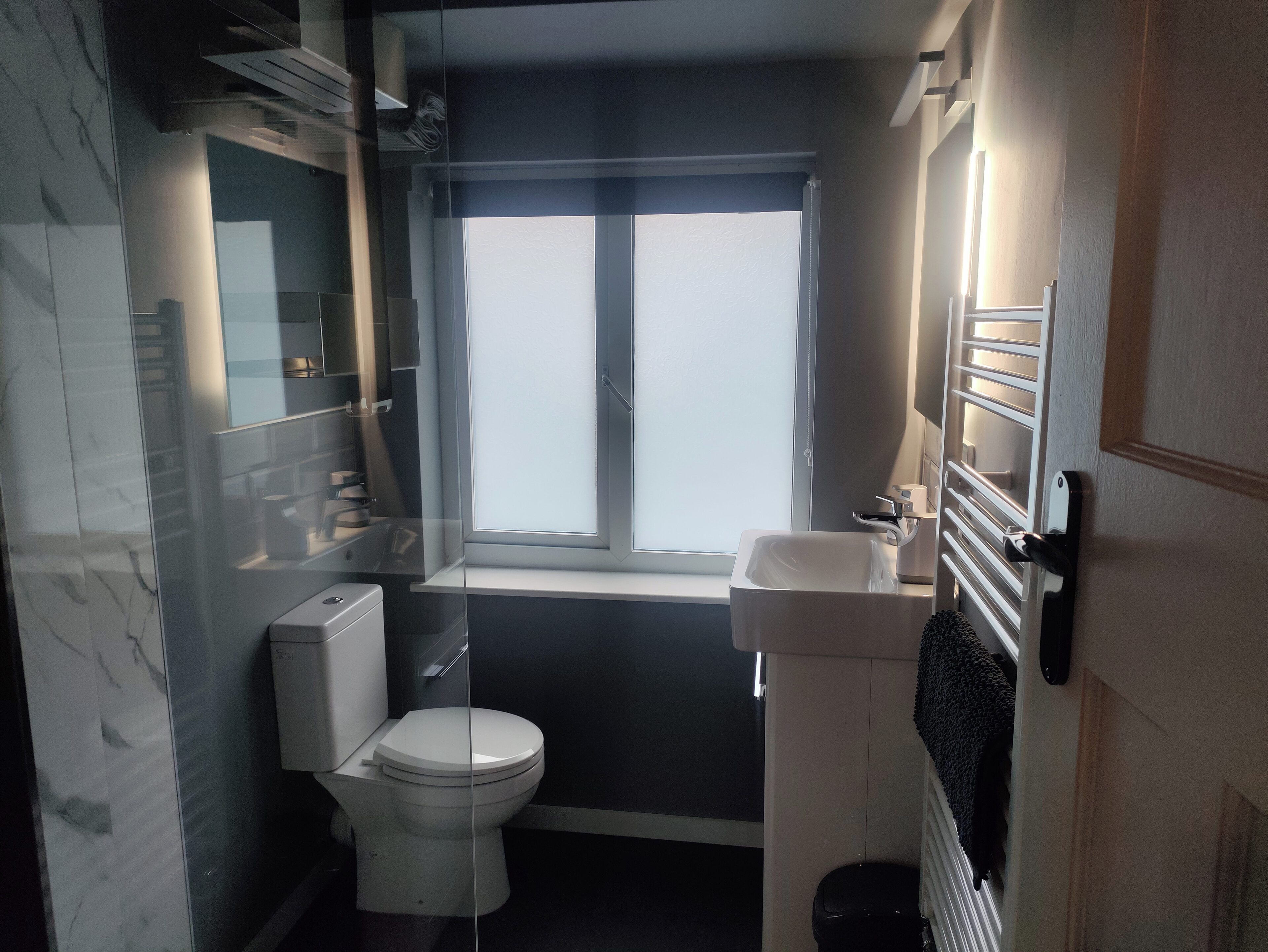 Shower, hair dryer, towels