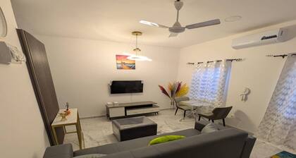 Cozy single-bedroom apartment providing a comfortable and calming atmosphere