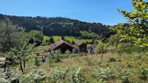 A rural house with a sloped roof, surrounded by lush greenery and a forested hill in the background. - The very isolated Vosges Mountain Chalet with private spa (Le Tholy)
