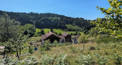 The very isolated Vosges Mountain Chalet with private spa