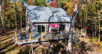 Private Dock, Near Skiing: Lakefront Gaylord Home
