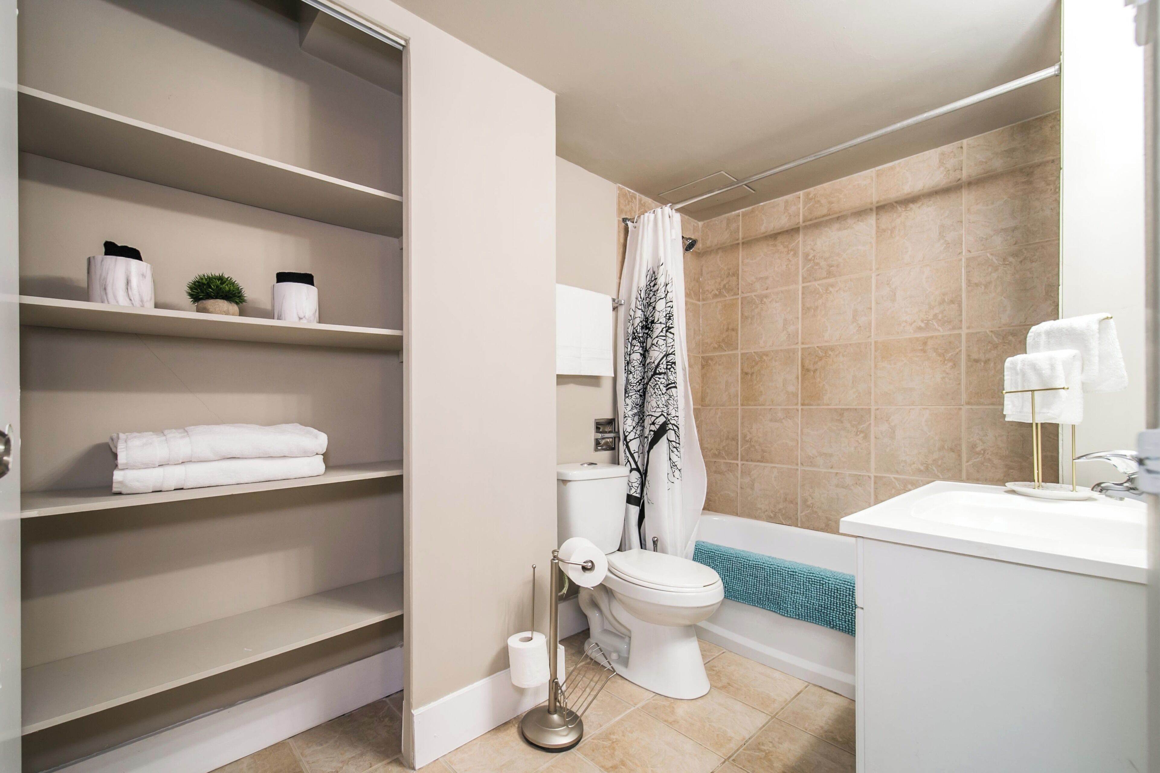 Hair dryer, towels, shampoo, toilet paper