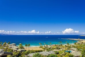 Unclassified image, 2 of 46, button