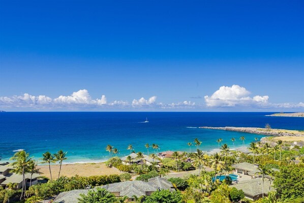 Imagen sin descripción, 1 de 1, botón