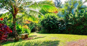A lush garden with palm trees, a stone bench, and a variety of tropical plants.