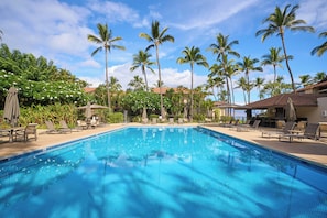 Une piscine avec des chaises longues et des palmiers.