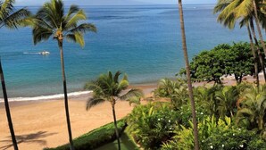A beach with palm trees and a view of the ocean.