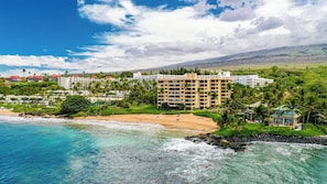 Une station balnéaire dotée de propriétés en bord de mer, d’un grand hôtel et d’une végétation luxuriante.