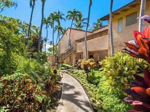 A pathway leading to a building with a staircase, surrounded by lush tropical vegetation.