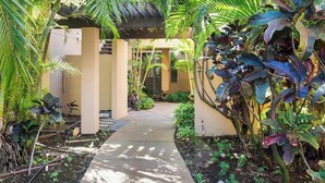 A pathway flanked by lush tropical plants leading to a covered area with a pergola.