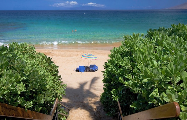 A beach with a sandy path, a colorful umbrella, and greenery framing the view.
