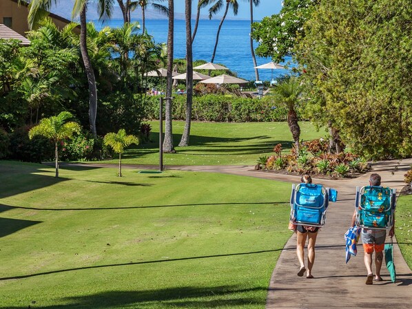 A pathway leading to a beach area with palm trees and umbrellas.