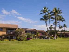 A hotel with a flat roof, a lawn, and palm trees.