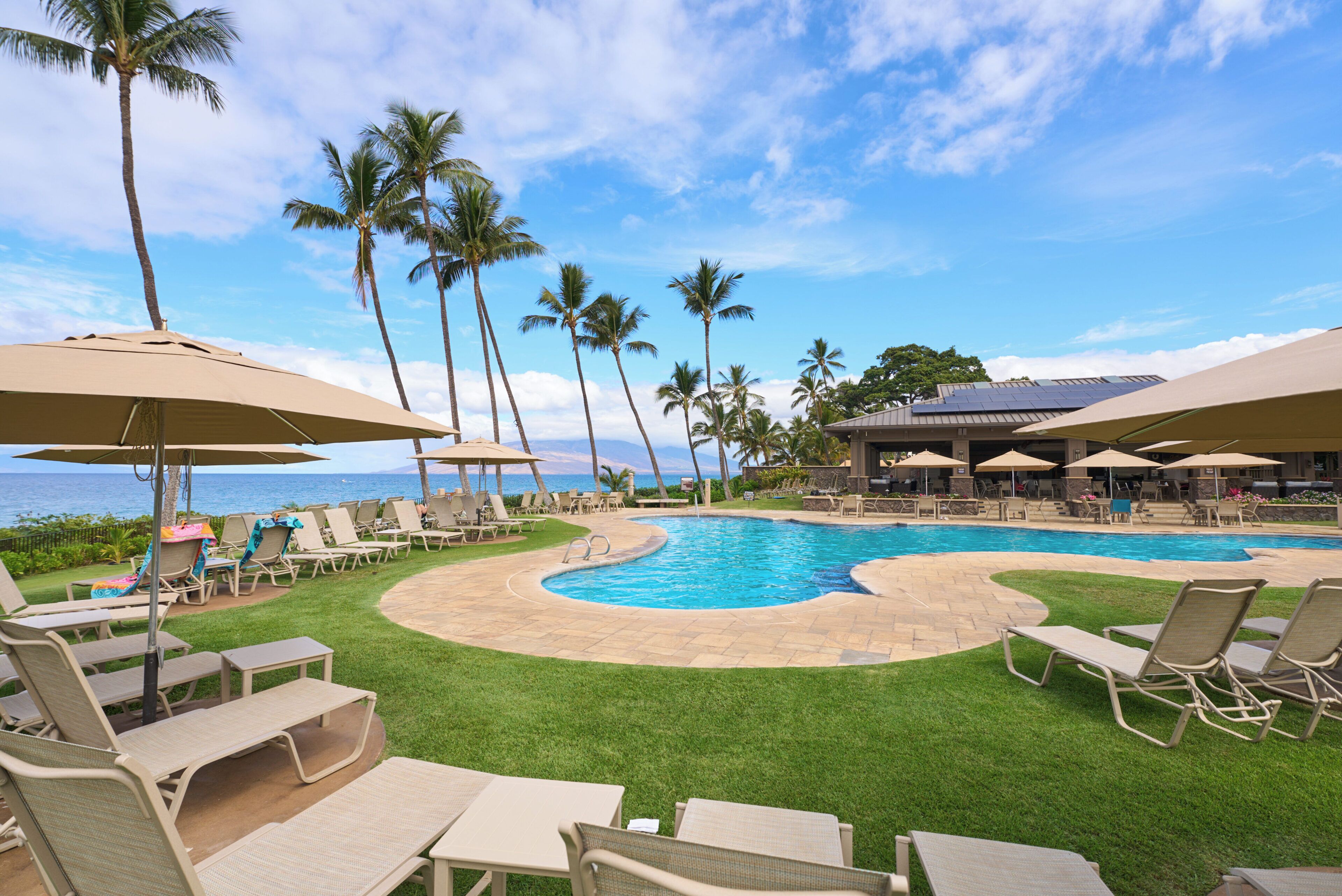 A poolside area with lounge chairs, umbrellas, and palm trees.