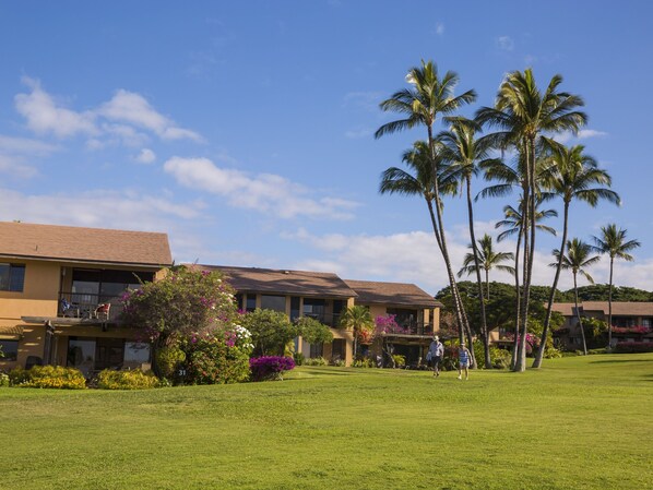 A hotel with a flat roof, a lawn, and palm trees.