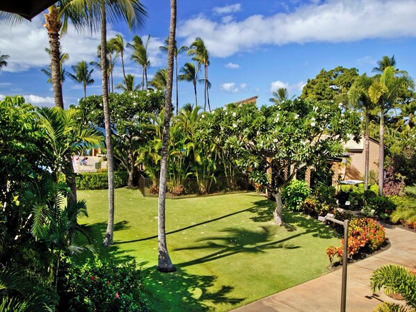 Terrain de l’hébergement 