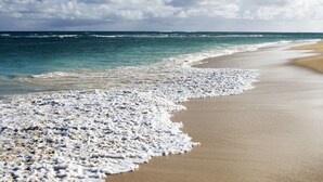 Une plage dotée d’un large rivage sablonneux et de vagues douces.