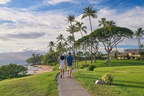 A pathway leading to a beach with palm trees and a view of the ocean.