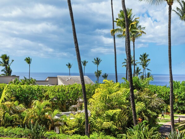 A lush garden with palm trees and a view of the ocean.