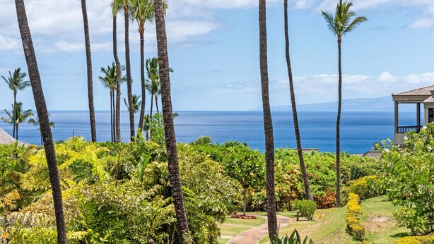 Un paisaje tropical con altas palmeras y vistas al océano.