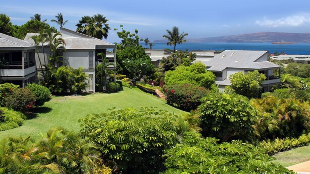A coastal residential area with houses, lush greenery, and a view of the ocean.