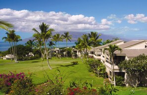 A resort with multiple-story buildings, a well-maintained lawn, and palm trees.