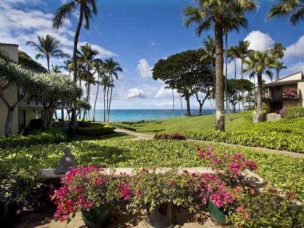 Terrain de l’hébergement 