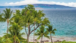 Ein tropischer Strand mit Palmen und Blick auf das Meer und ferne Berge.