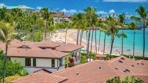 Une propriété située en bord de mer, offrant une vue sur l’océan et les palmiers.