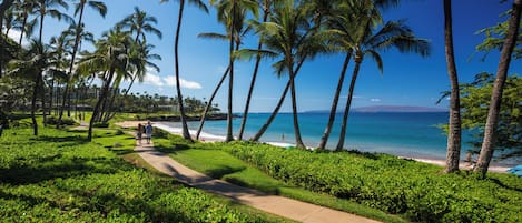 A pathway leading to a beach with palm trees and ocean views.