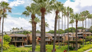 Un resort con edificios de varios pisos, palmeras y jardines cuidados.