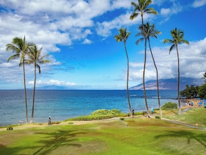 Une vue sur la côte, avec des palmiers, un ciel dégagé et une plage en arrière-plan.