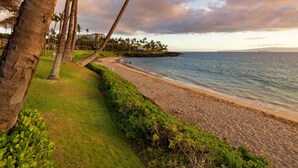 A beach with palm trees, a grassy path, and a view of the ocean.