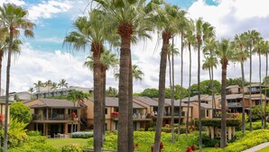 A resort with multiple-story buildings, palm trees, and well-maintained gardens.