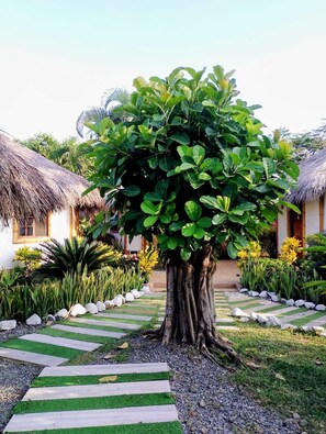 Cabane Familiale, vue jardin | Vue sur le jardin
