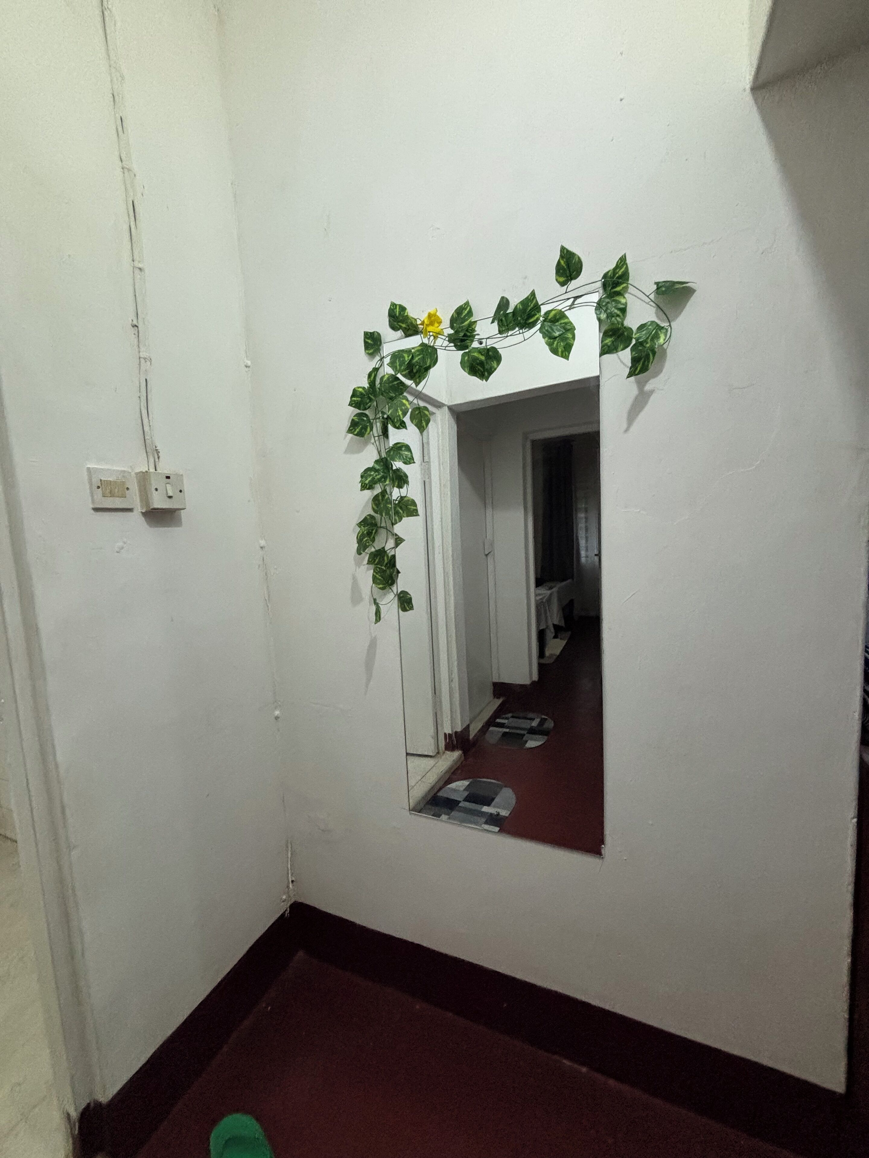 Un couloir étroit avec un mur blanc, un petit miroir et une plante verte aux fleurs jaunes.