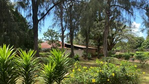 A garden with various plants and trees, a brick wall, and a building with a red roof in the background.
