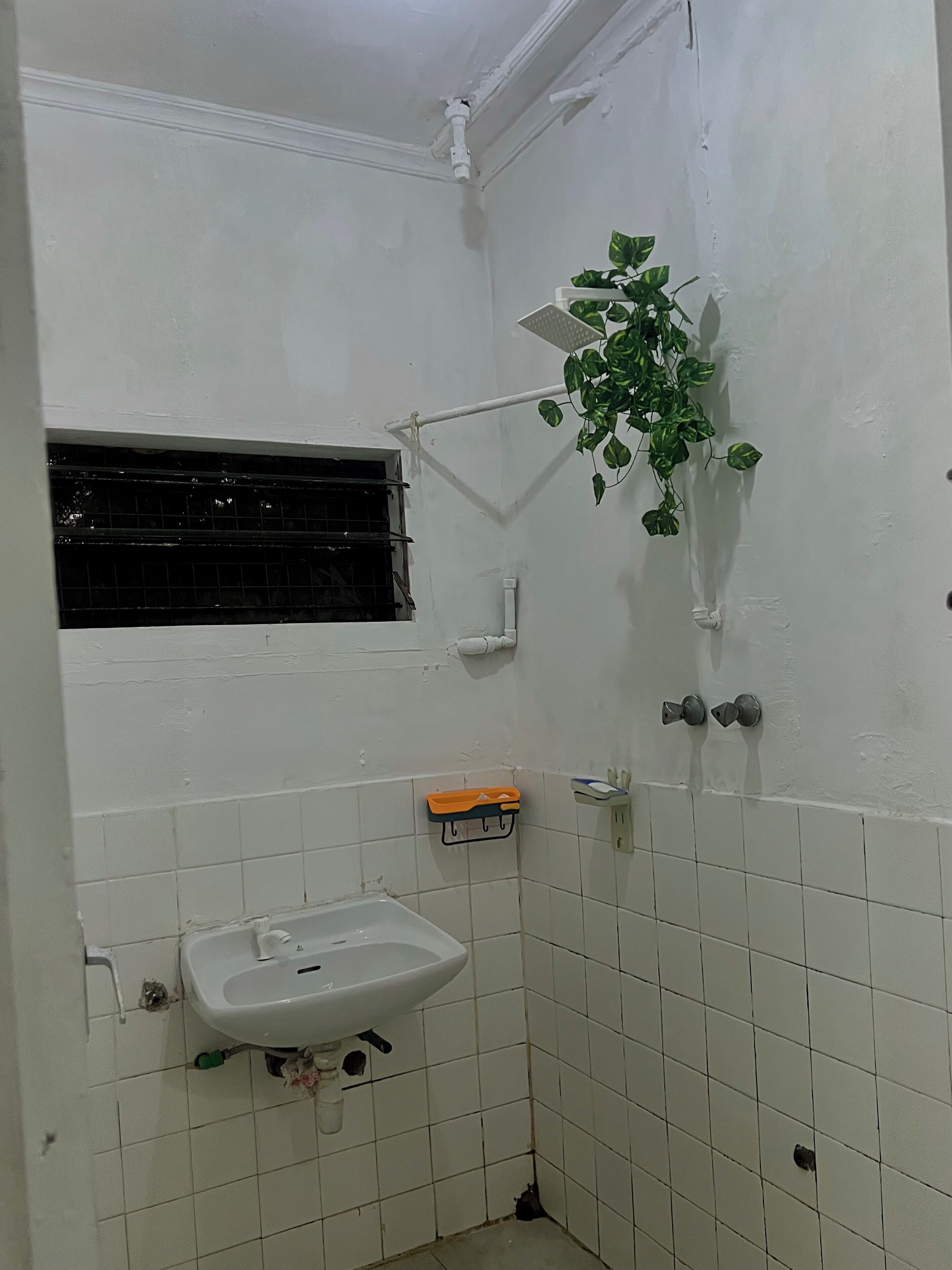 A small bathroom with white tiles, a white sink, a window with a black grille, a showerhead, and a potted plant.