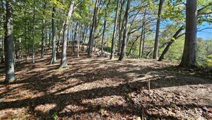A forested area with a dirt path, trees, and benches. - Hocking Hills Store Campsite #3 (Tent Site) (Washington Township)