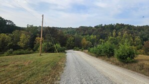Un chemin de gravier traverse une zone boisée, avec un poteau électrique sur le côté gauche.