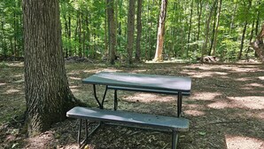 Property grounds - Hocking Hills Store Campsite #2 (Tent Site) (Washington Township)