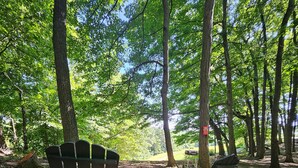 Et skovområde med to Adirondack-stole og et picnicbord, omgivet af træer og naturlig bevoksning.