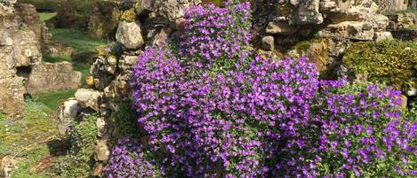 DĂ©tail de lâextĂ©rieur