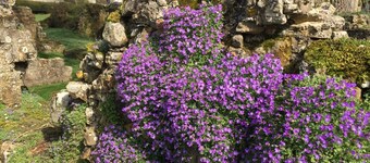  Refurbished historical cottage on the private estate of Slaugham Place Ruins.