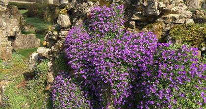 Refurbished historical cottage on the private estate of Slaugham Place Ruins.