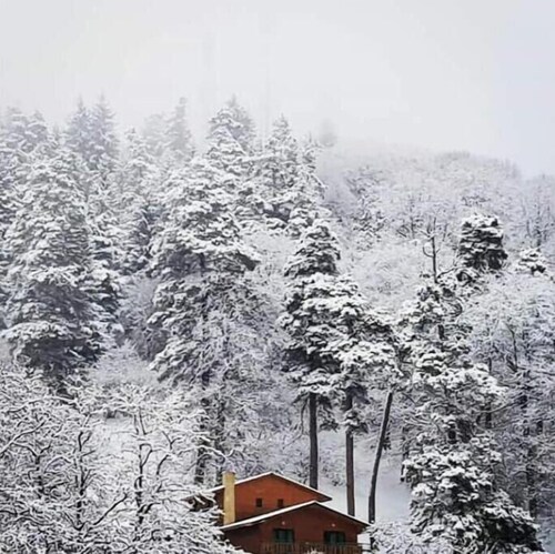 Three bedroom villa BarLeon-Bakuriani B